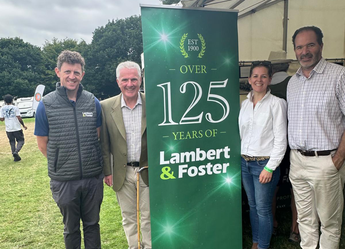 PHOTO-2025-08-03-19-11-05 2-land